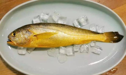 碗豆的营养价值及功效及禁忌-碗豆营养价值与功效网碗豆营养价值与功效与作用是什么知识网站,分享碗豆营养价值大全
